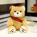 Red Graduation Ribbon Bear Plush