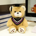 Pink Graduation Triangle Ribbon Bear Plush
