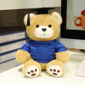 Blue Shirt Graduation Bear Plush