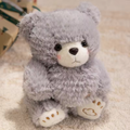 Grey Fuzzy Love Bear Plush Toy