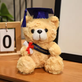 Purple Ribbon & Hat Graduating Bear Plush