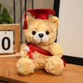 Red Ribbon & Hat Graduating Bear Plush