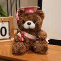 Pink Ribbon & Hat Graduating Brown Bear Plush