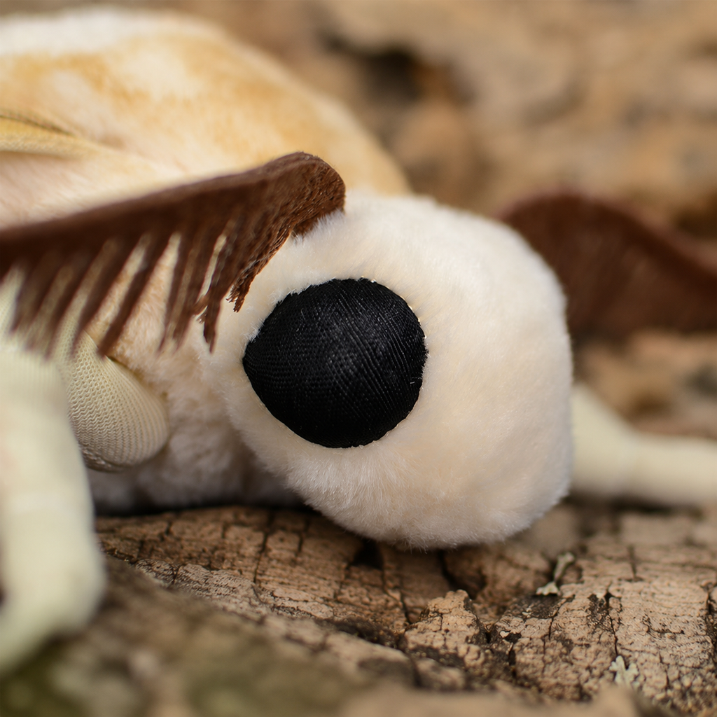 Realistic Moth Plush