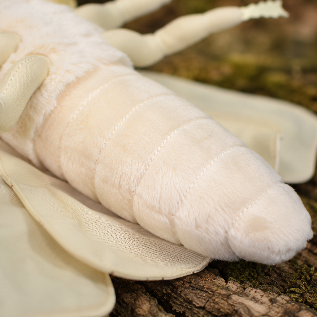 Realistic Moth Plush