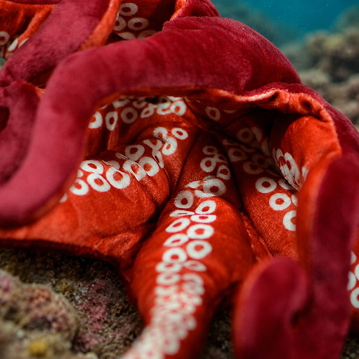 Realistic Octopus Plush