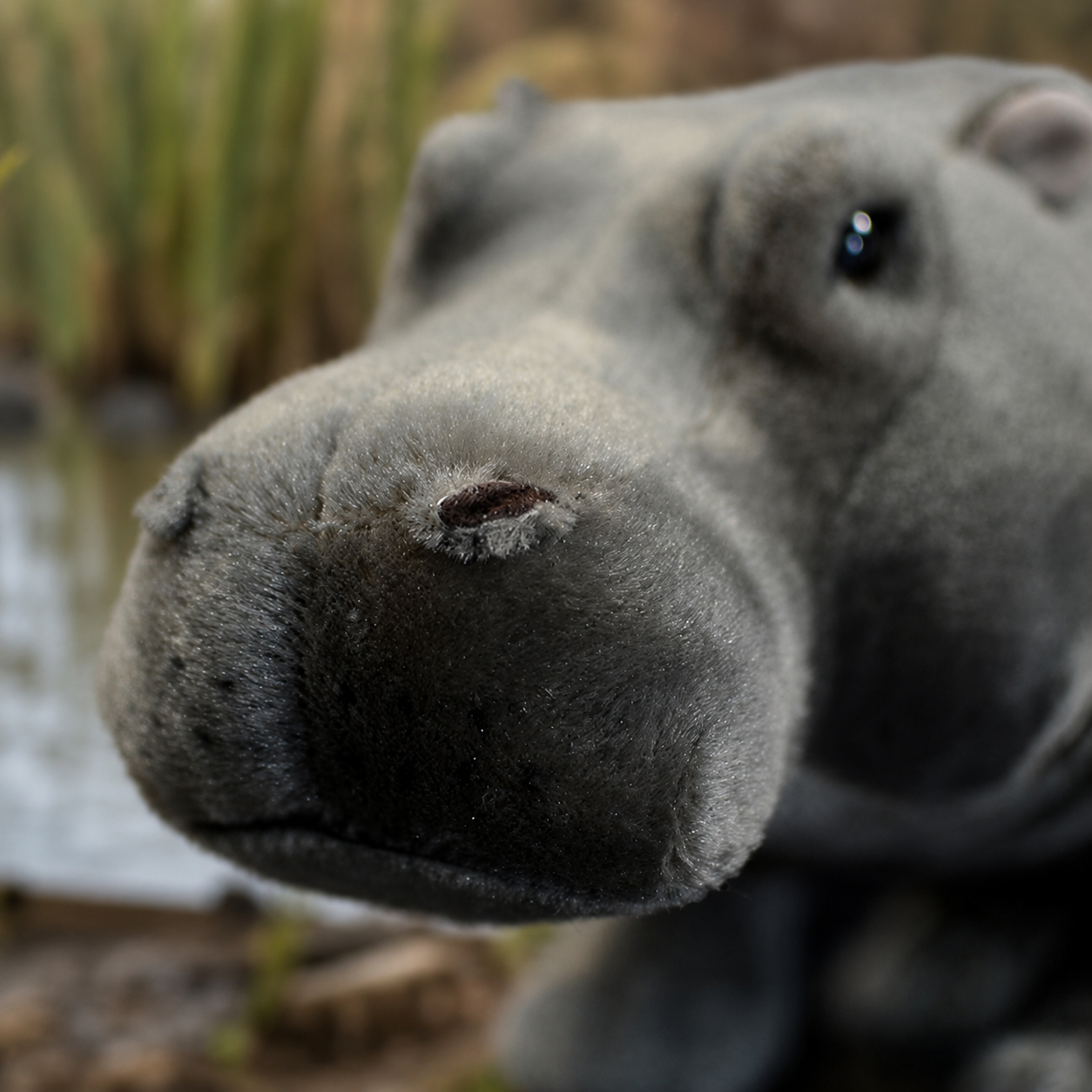 Realistic Hippopotamus Plush