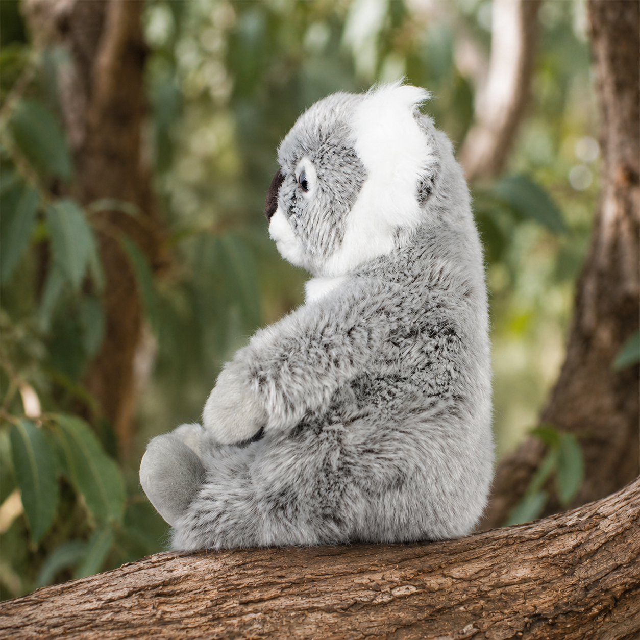Realistic Koala Plush