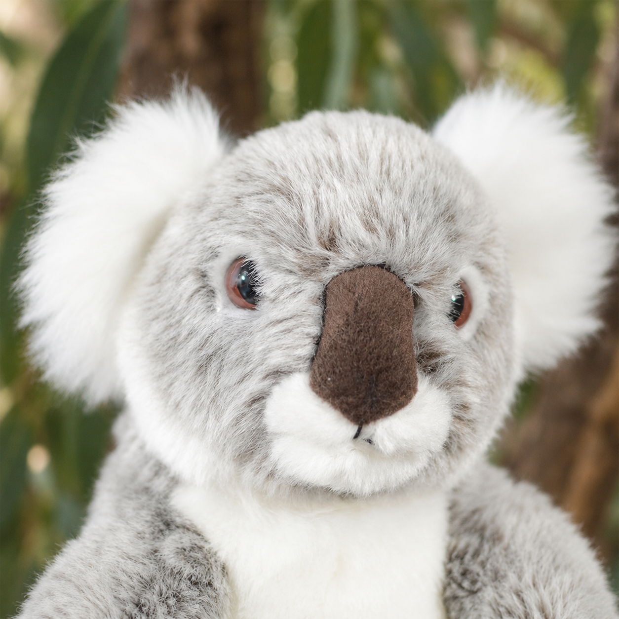 Realistic Koala Plush