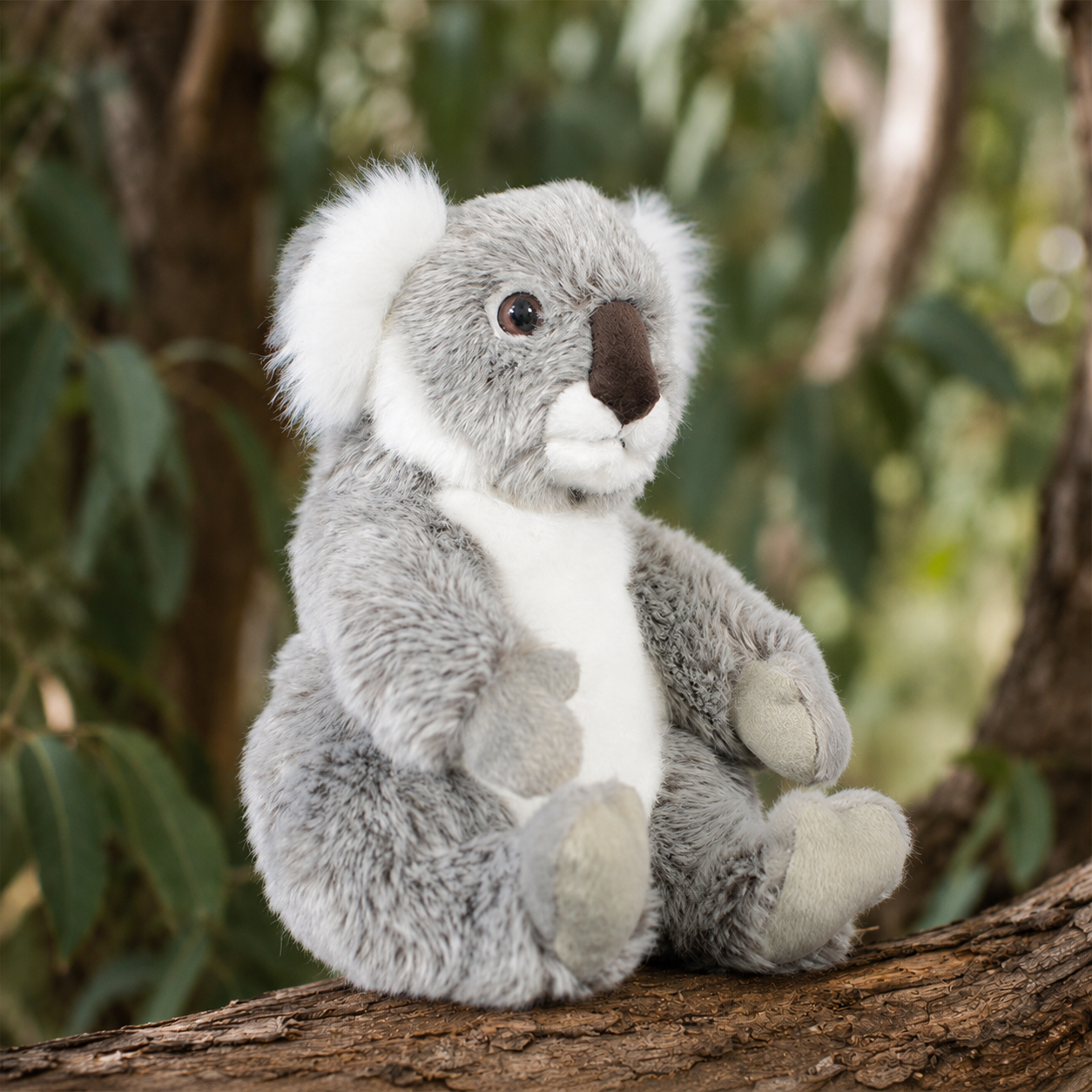 Realistic Koala Plush