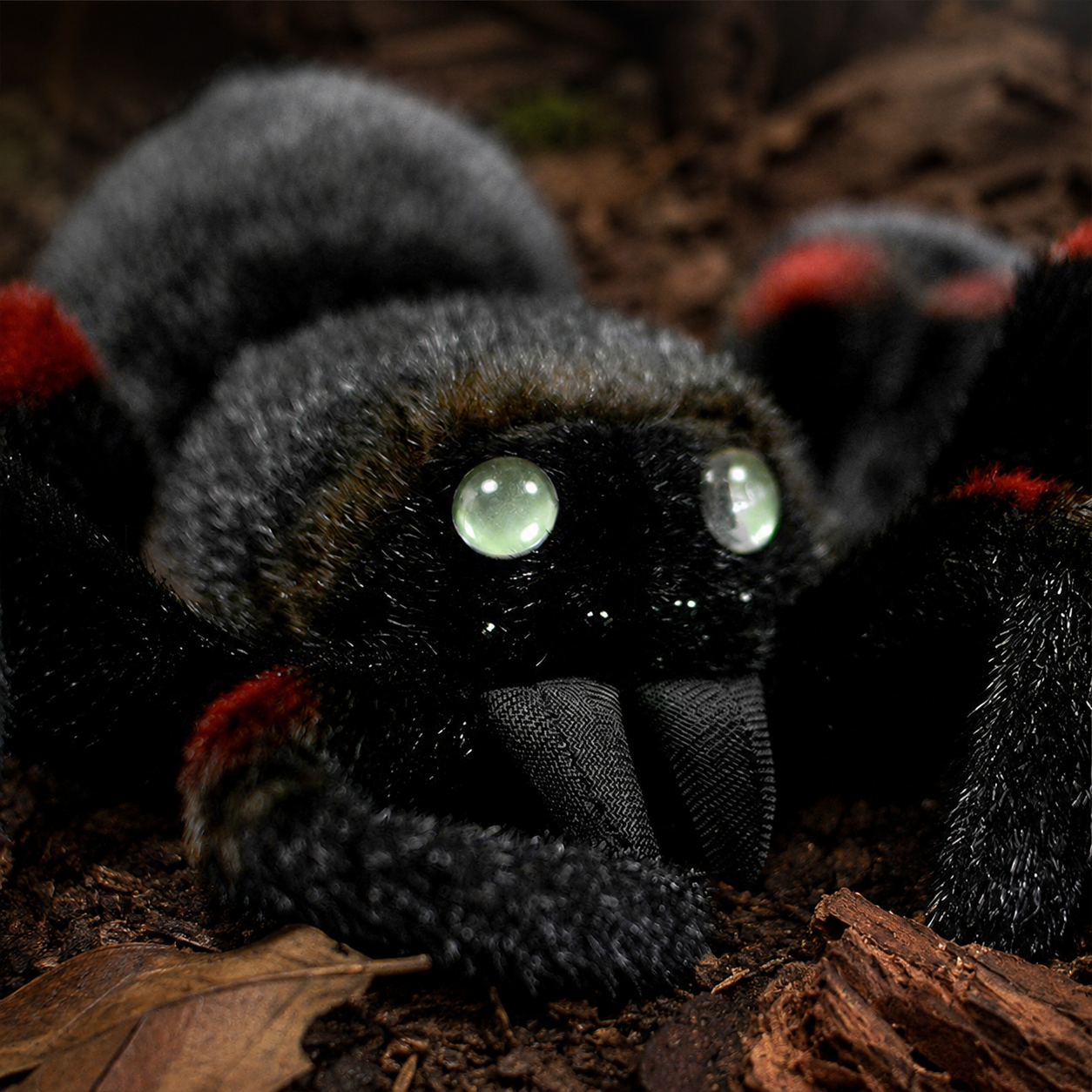 Realistic Tarantula Spider Plush
