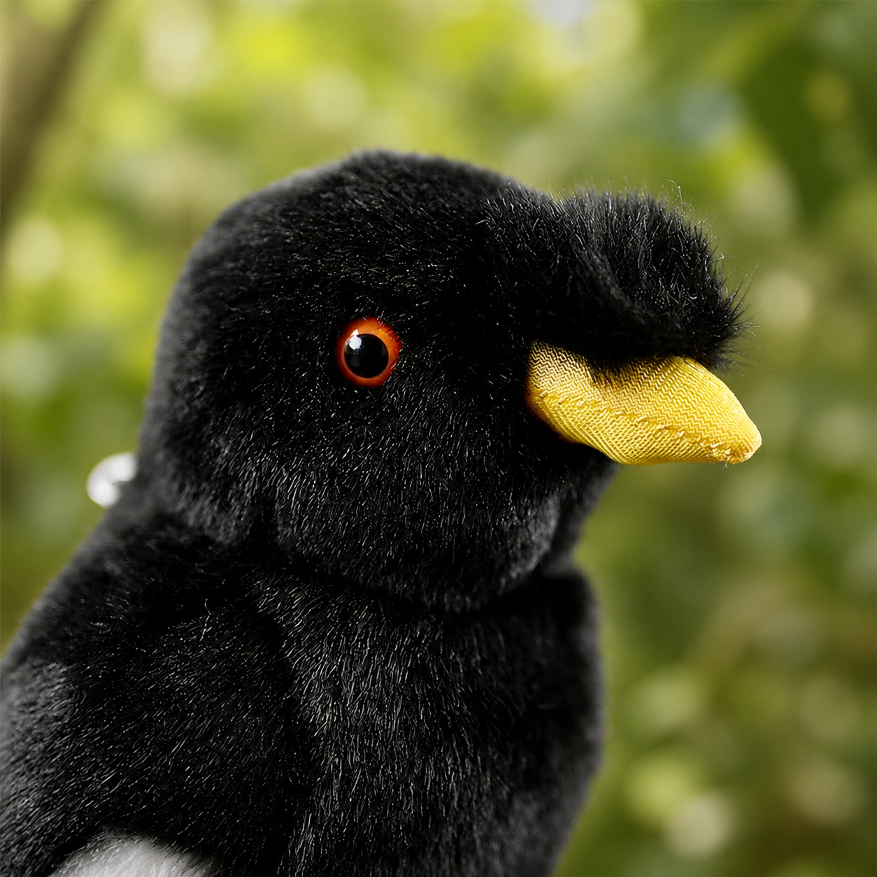 Realistic Myna Bird Plush
