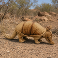 Realistic Armadillo Stuffed Plush
