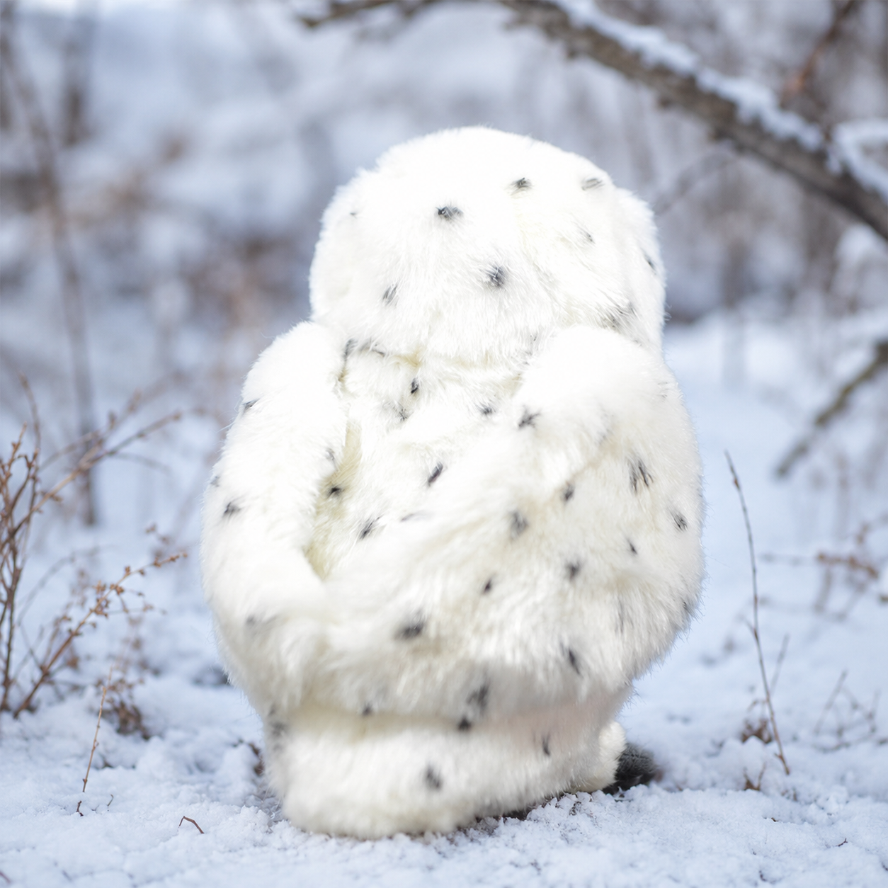Realistic White Owl Plush
