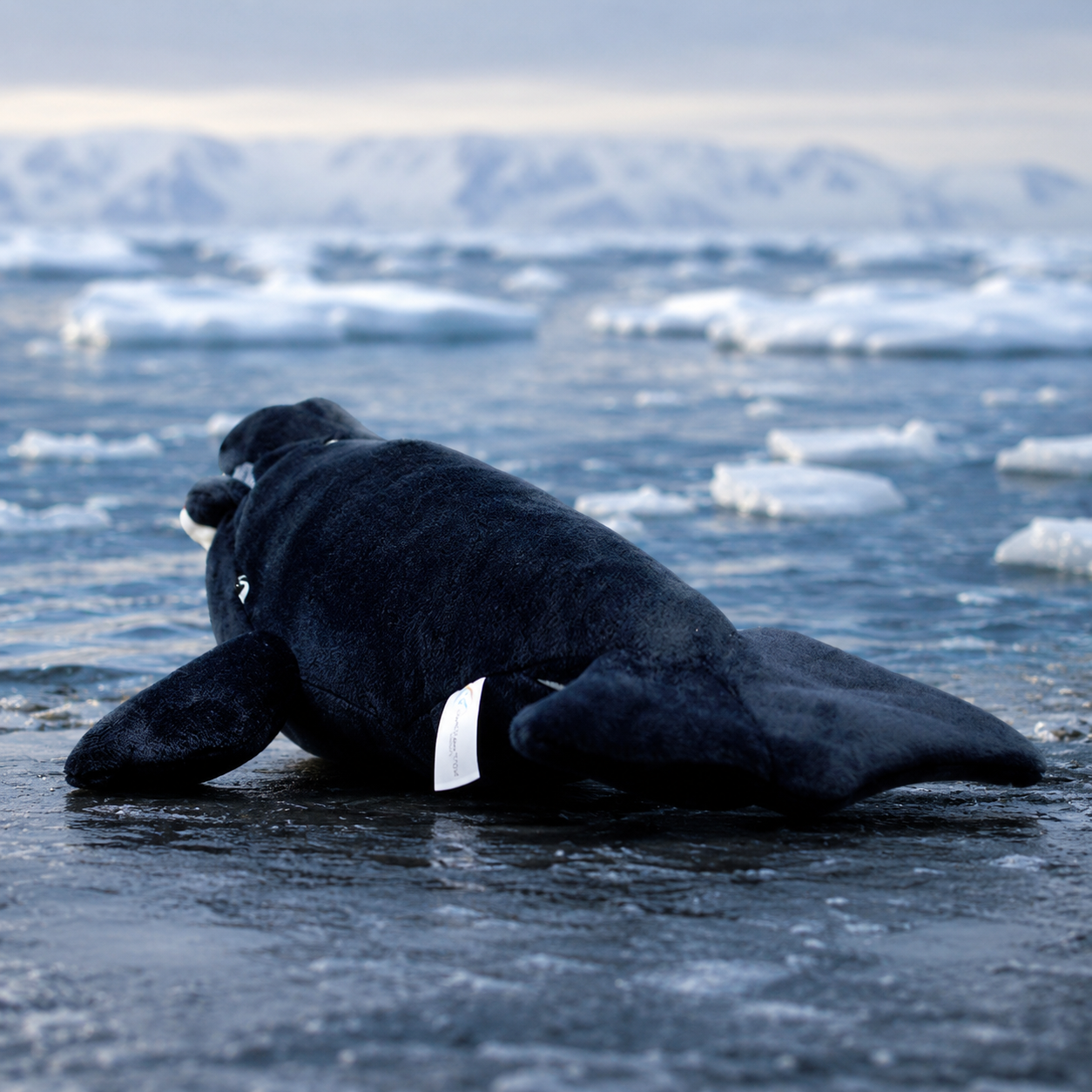 Realistic Bowhead Whale Plush