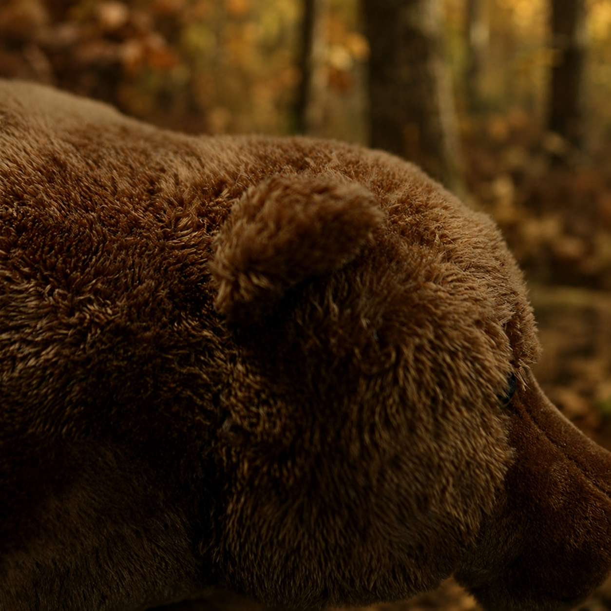 Realistic Brown Bear Plush