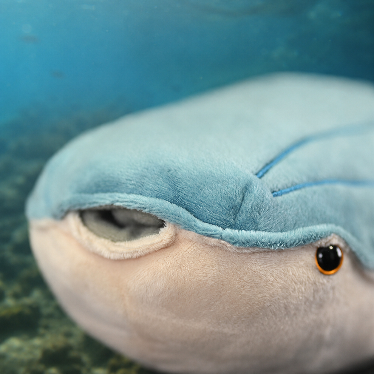Realistic Arandaspis Fish Plush