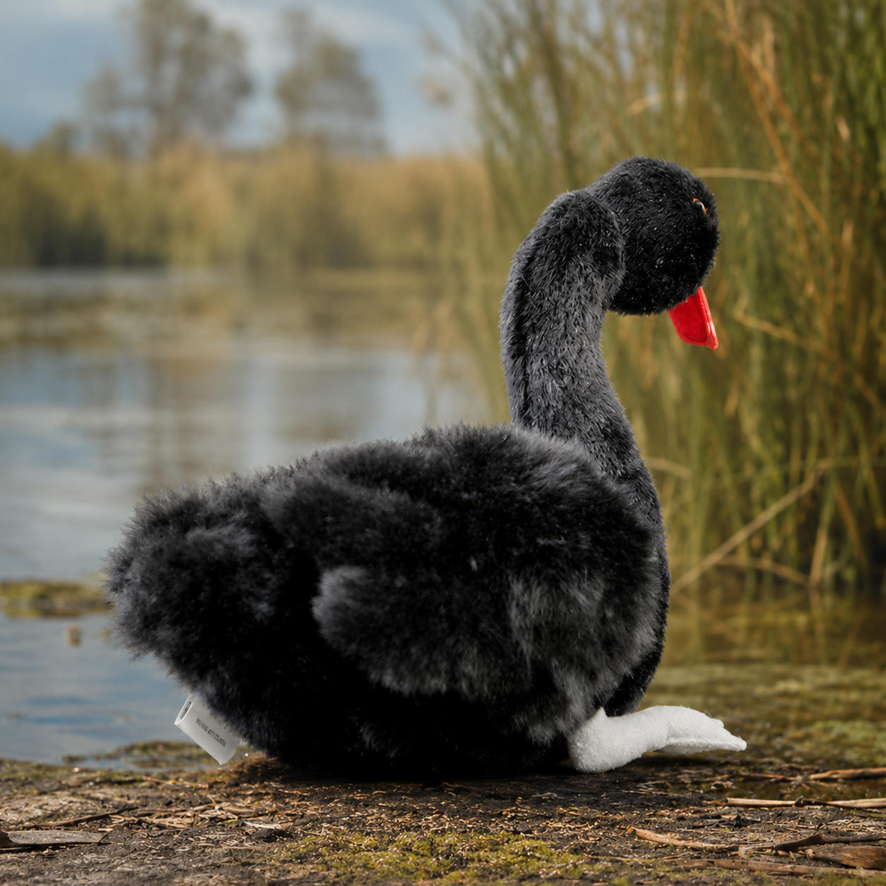 Realistic Black Swan Plush