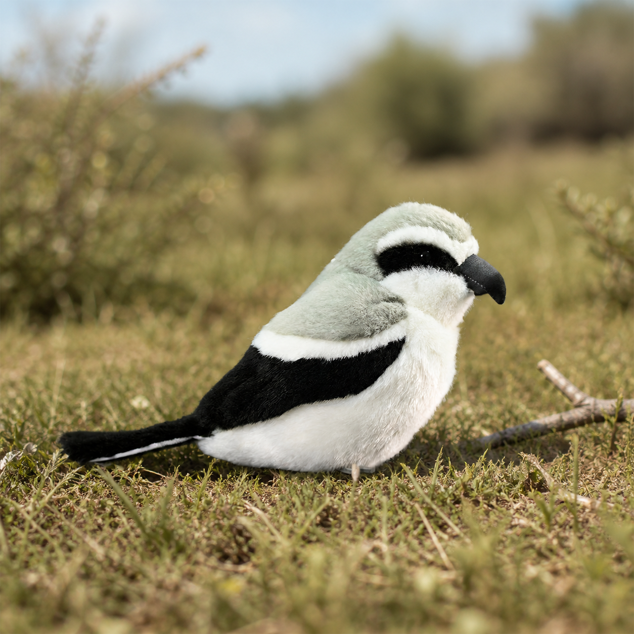 Realistic Shrike Bird Plush