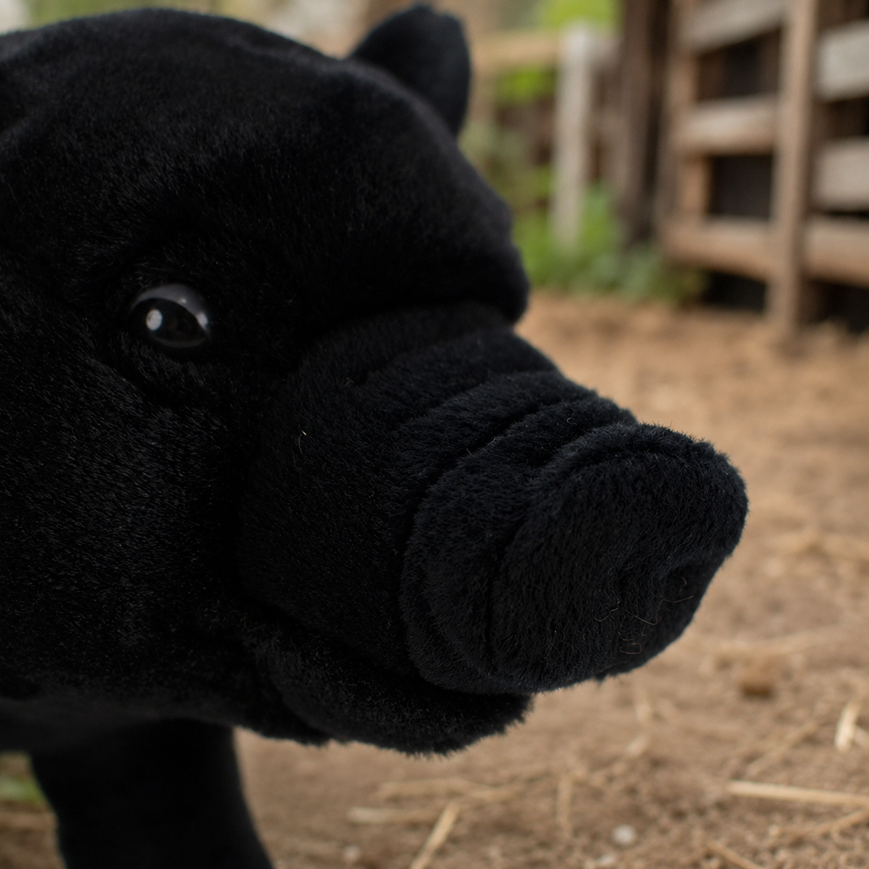 Realistic Black Pig Plush