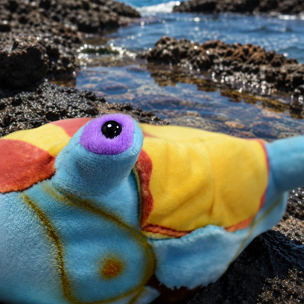 Realistic Sally Lightfoot Crab Plush