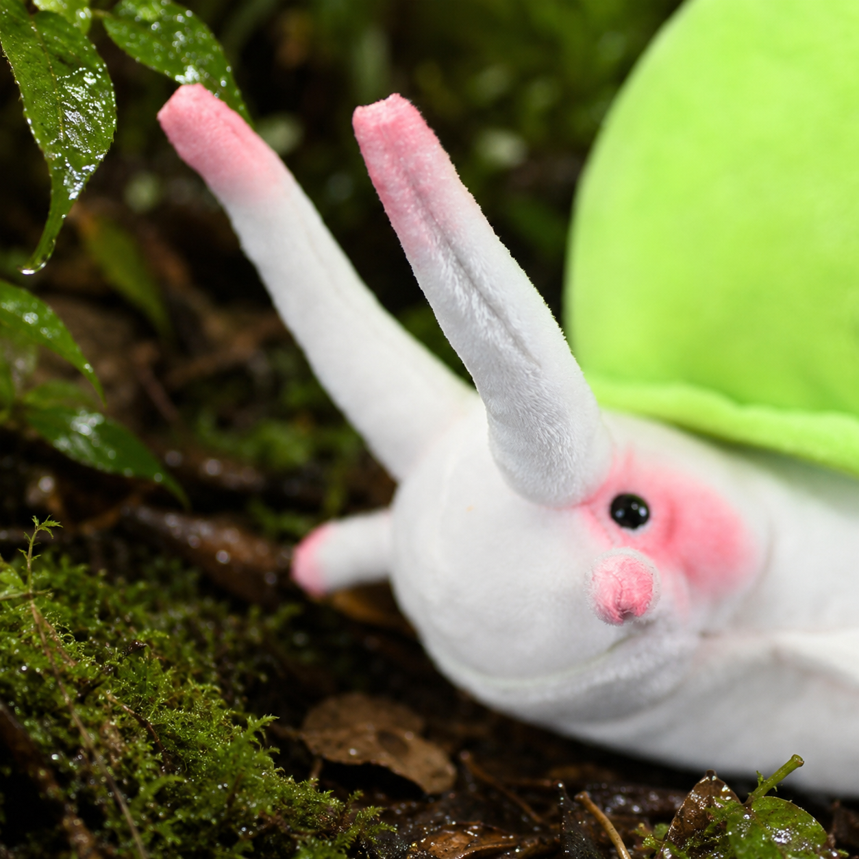 Realistic Leptopoma Perlucidum Snail Plush