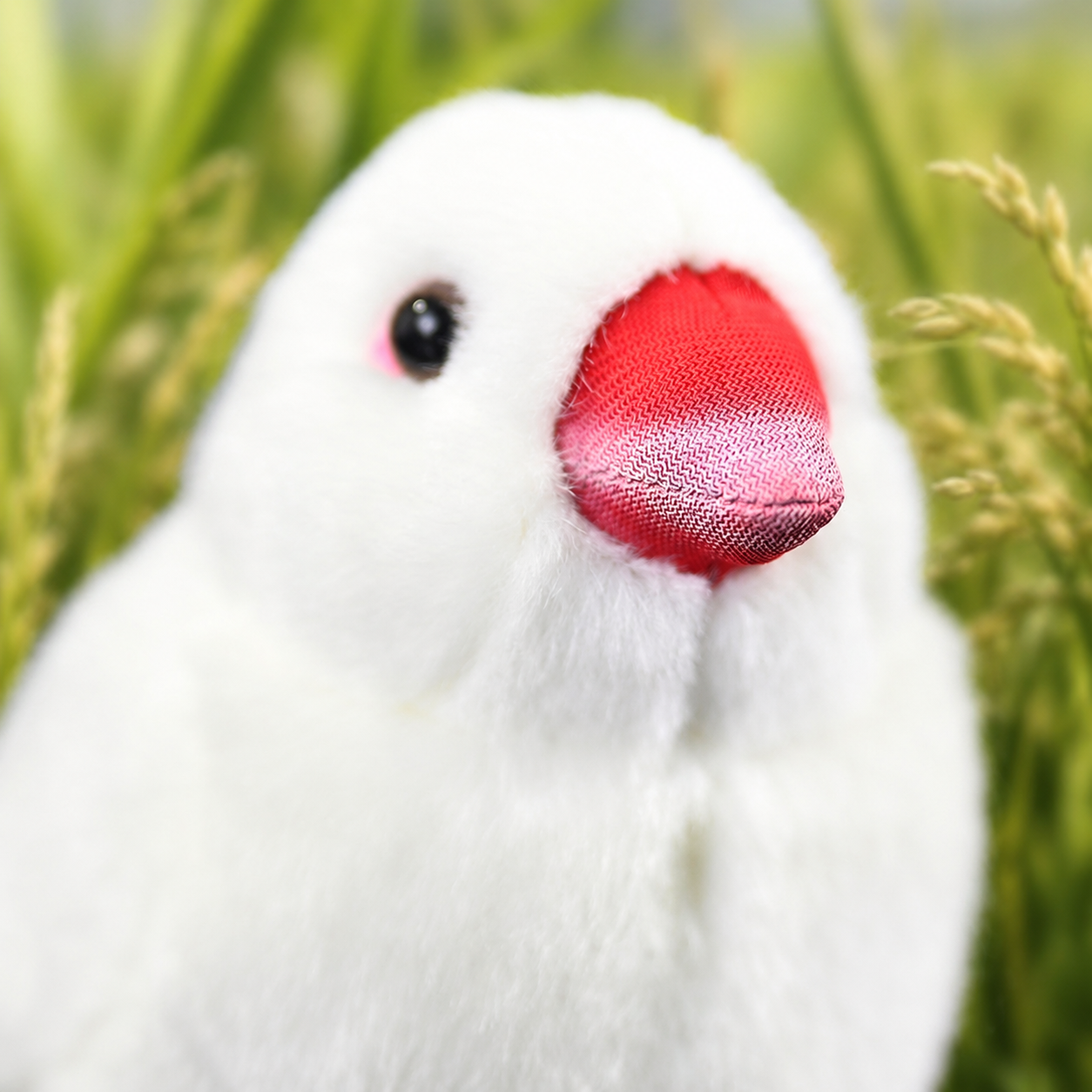 Realistic White Java Bird Plush
