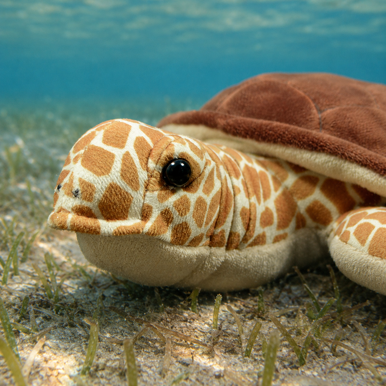 Realistic Loggerhead Sea Turtle plush