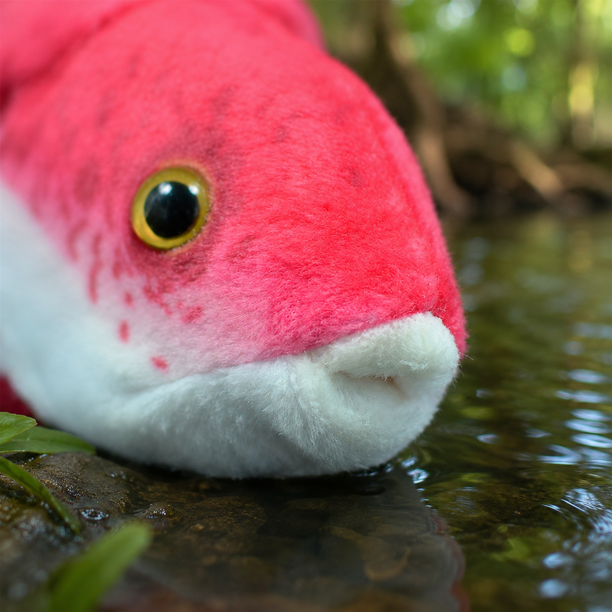 Realistic Asian Arowana  Fish Plush
