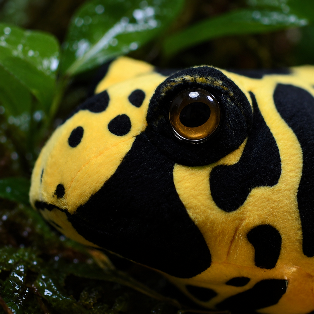 Realistic Poison Dart Frog Plush