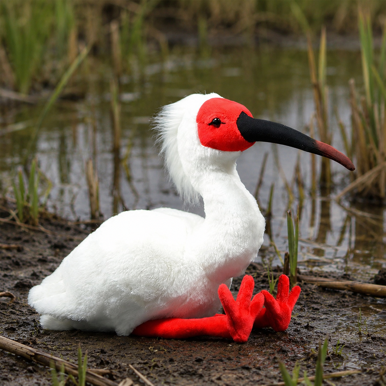 Realistic Ibis Bird Plush
