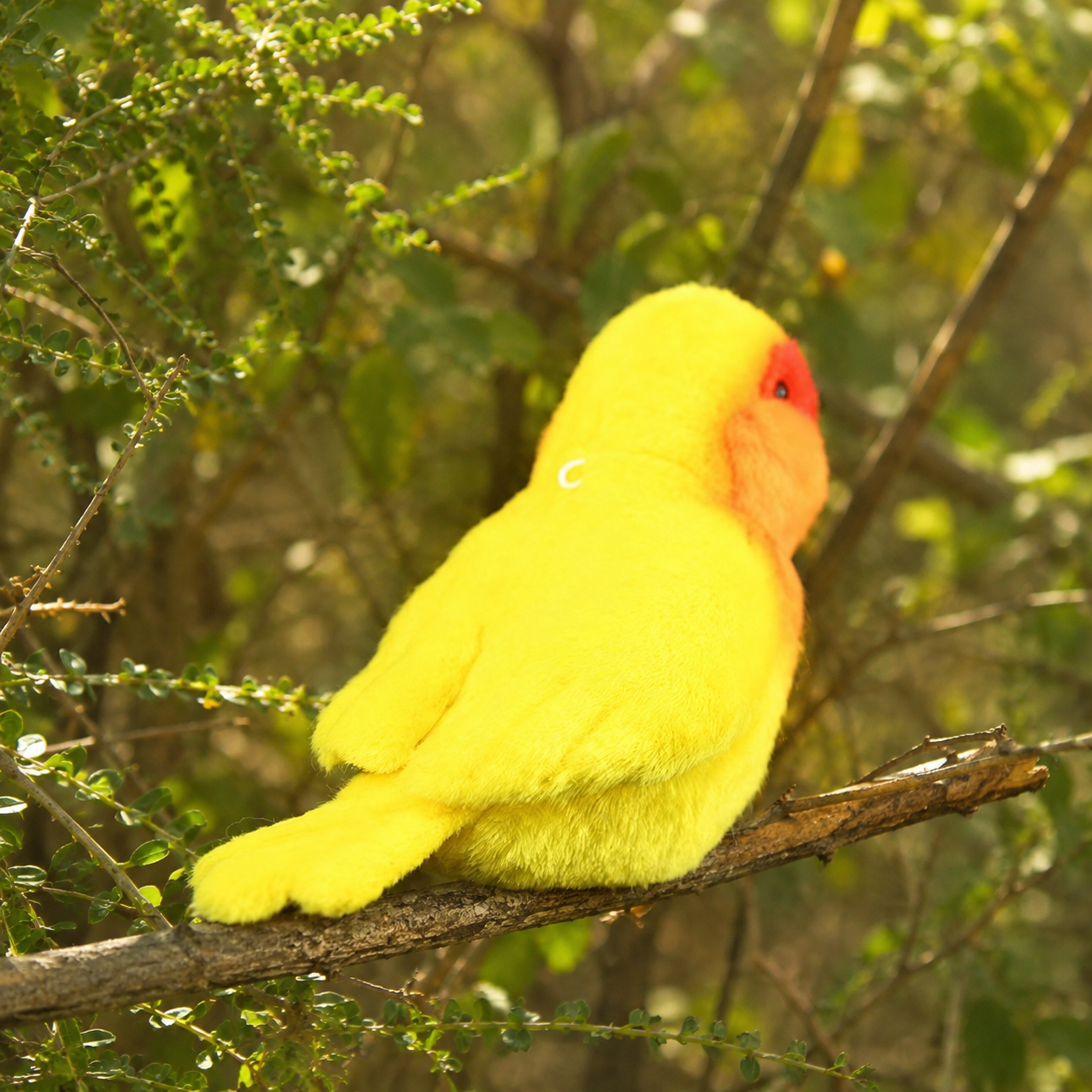 Realistic Yellow Rosy Love Bird Plush