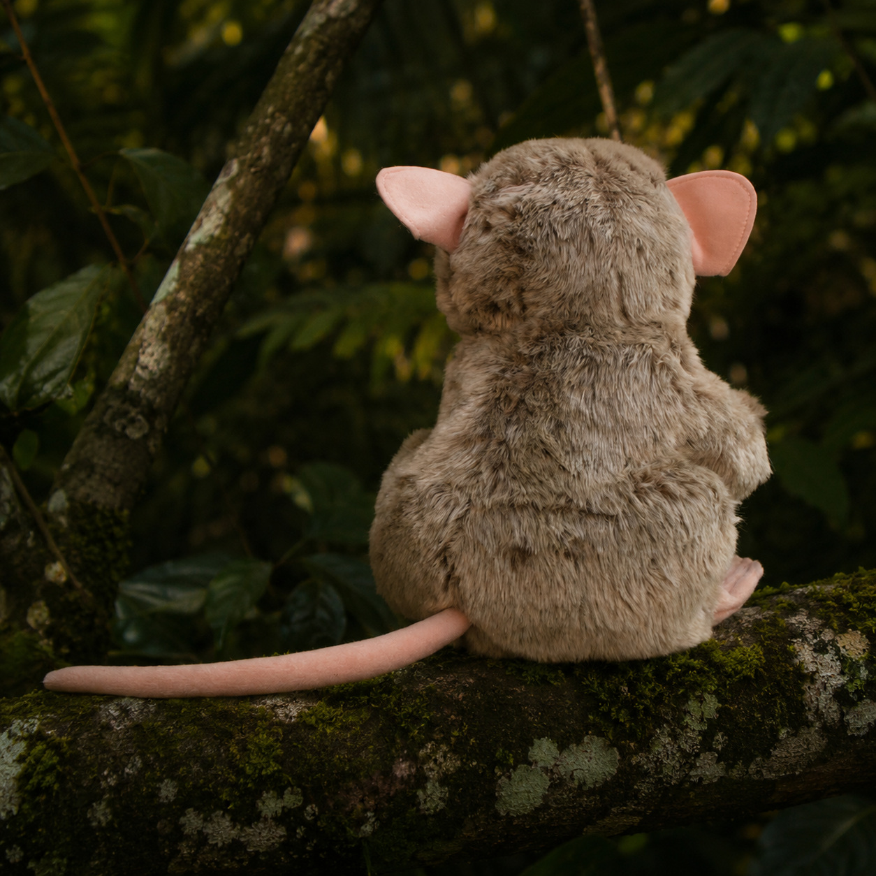 Realistic Fluffy Slender Loris Monkey  Plush