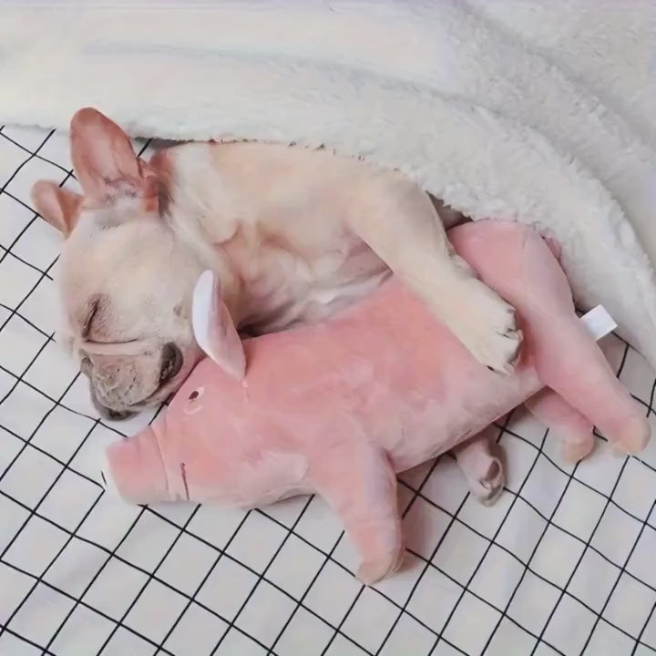 Cute Piggy Dog Plush Toy