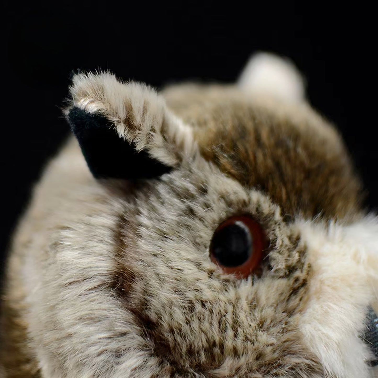 Realistic Owl Plush