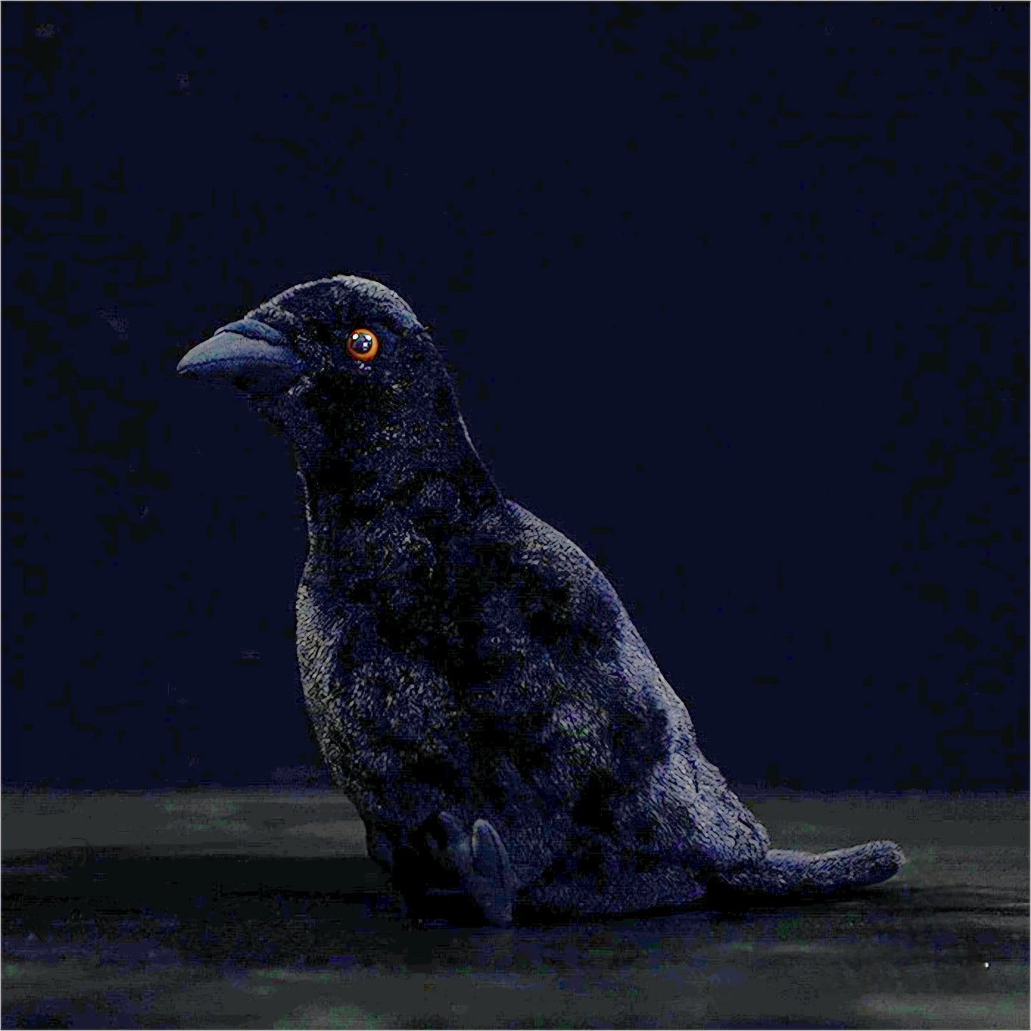Realistic Crow Plush