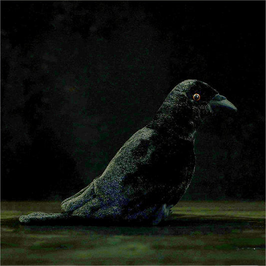 Realistic Crow Plush