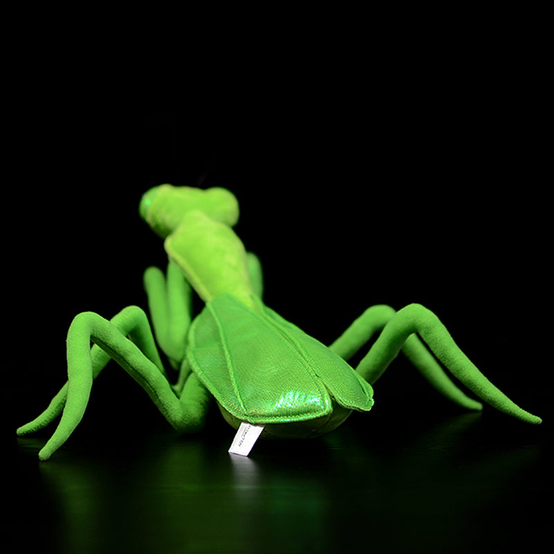 Realistic Chinese Mantis Plush