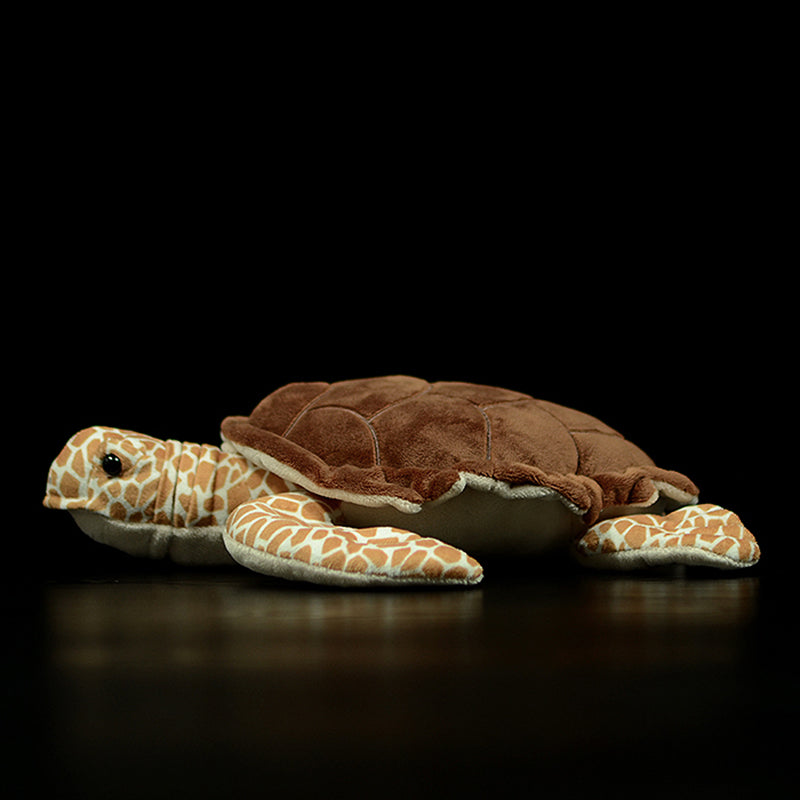 Realistic Loggerhead Sea Turtle plush