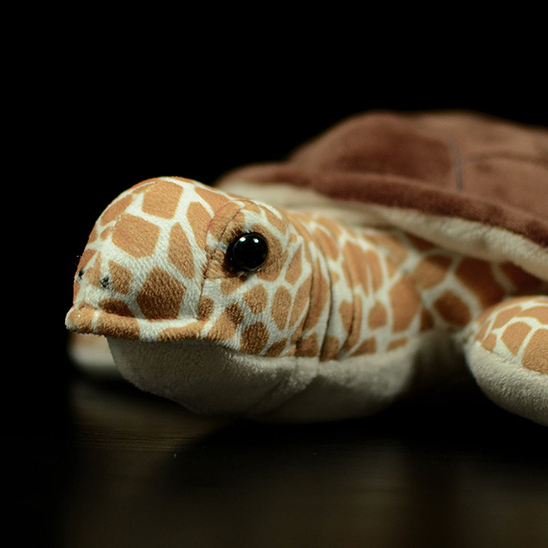 Realistic Loggerhead Sea Turtle plush