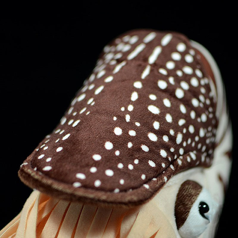 Realistic Nautilus Plush