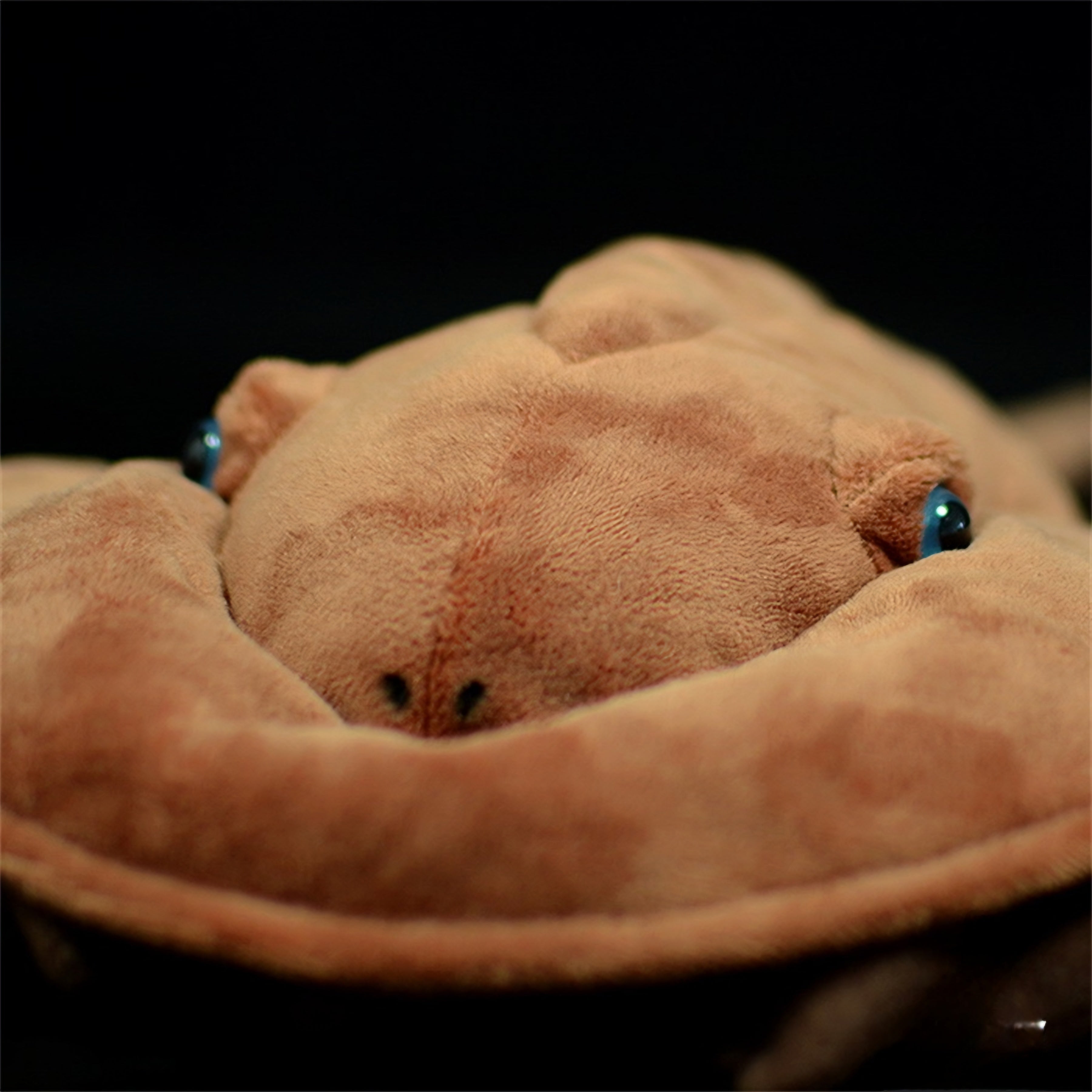 Realistic Horseshoe Crab Plush