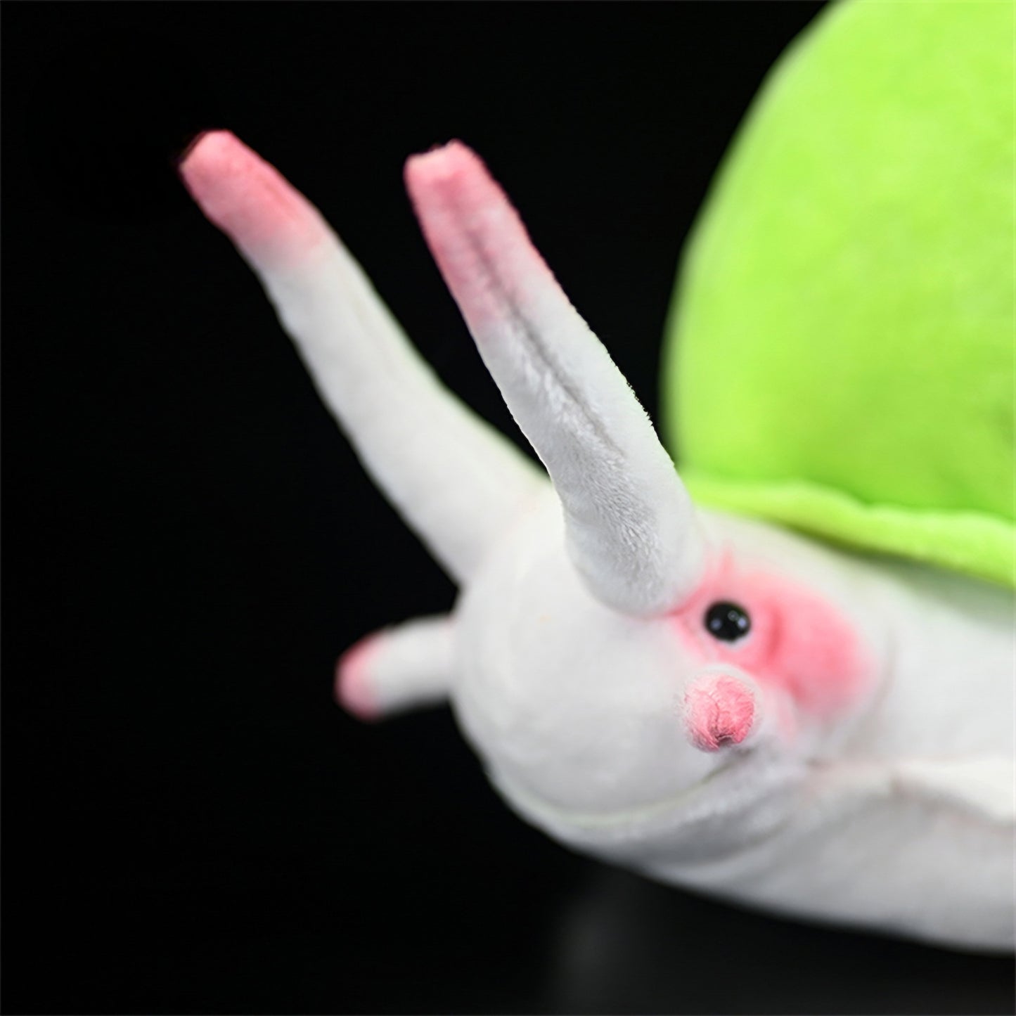 Realistic Leptopoma Perlucidum Snail Plush