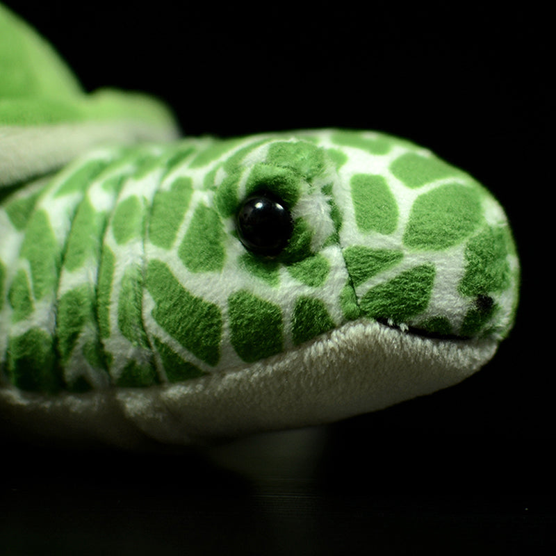 Realistic Green Sea Turtle Plush