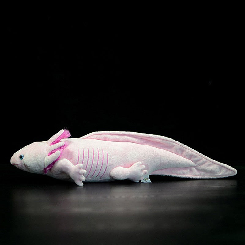 Realistic Axolotl Plush