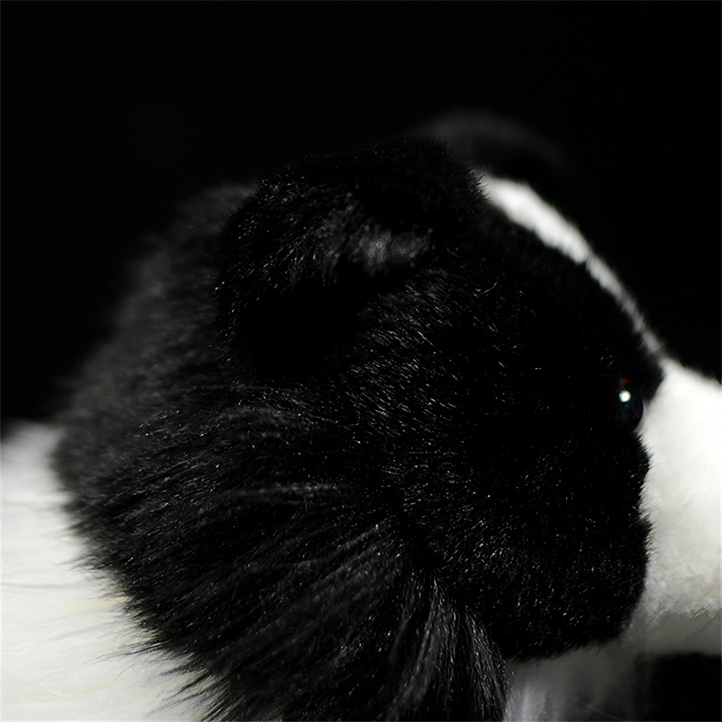 Realistic Black Border Collie Dog Plush