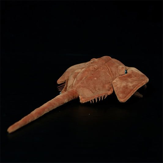 Realistic Horseshoe Crab Plush