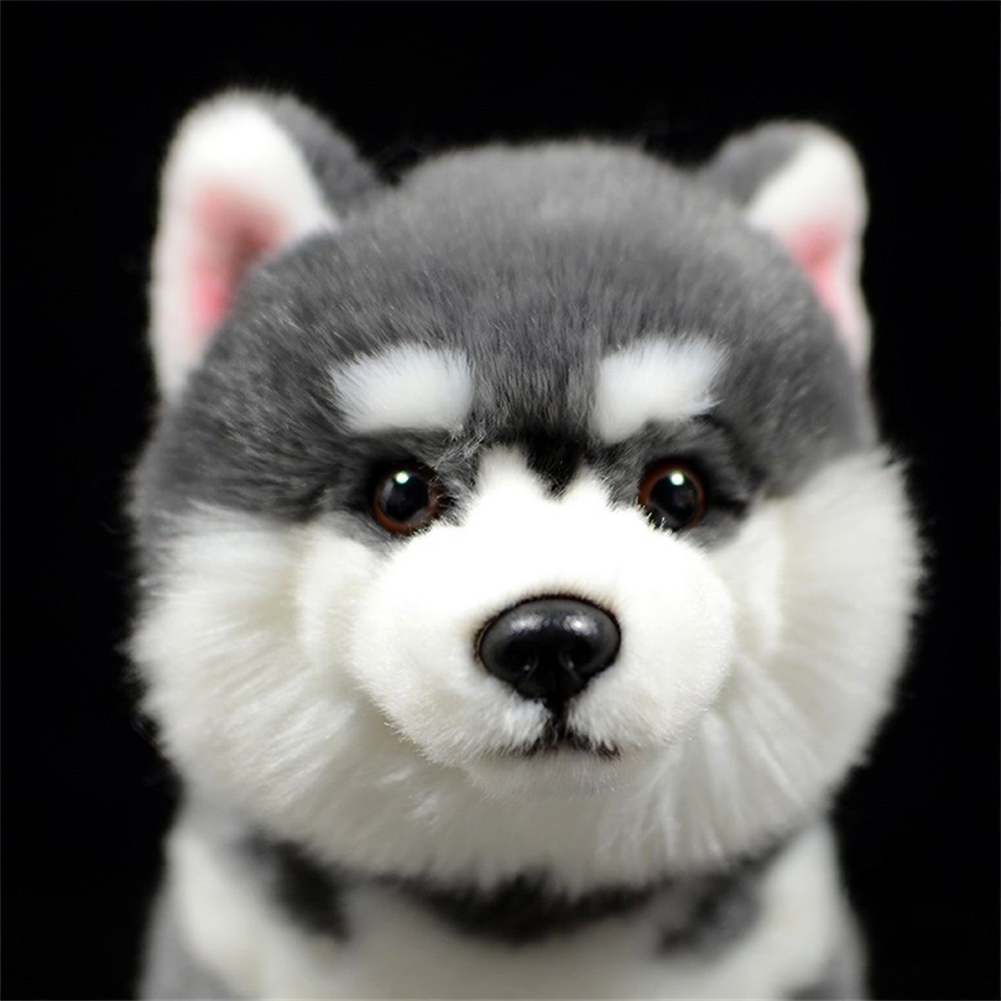 Realistic Alaskan Malamute Dog Plush