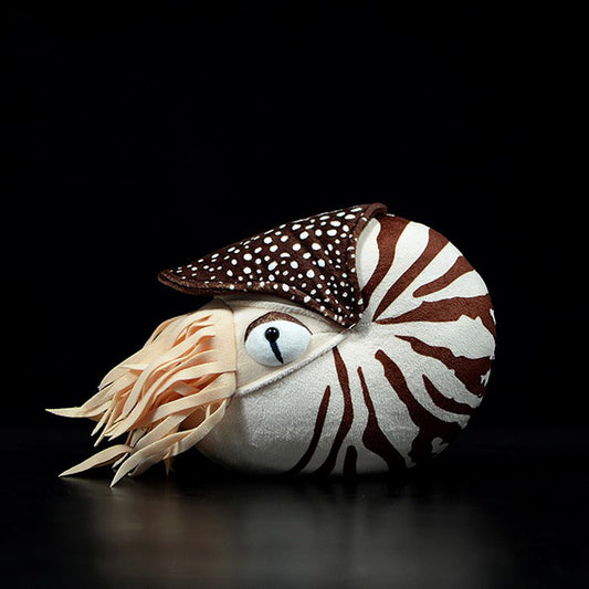 Realistic Nautilus Plush