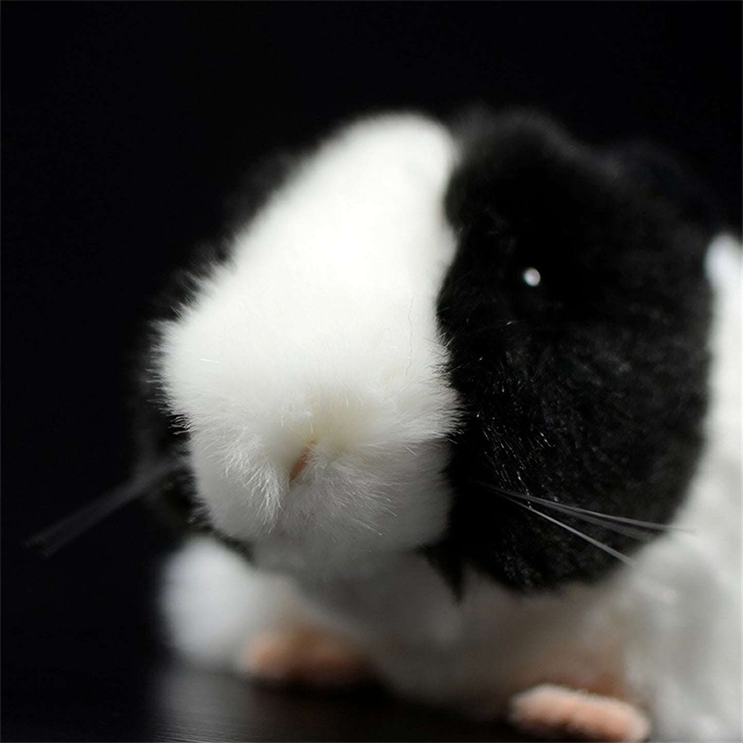 Realistic Black Guinea Pig Plush